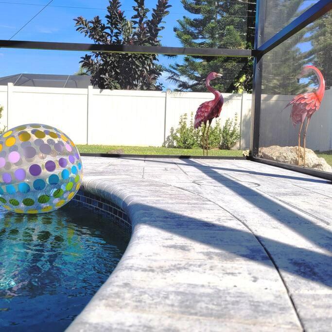 Blue Door Retreat - Luxury Pool Home - Sleeps 8 케이프코럴 외부 사진